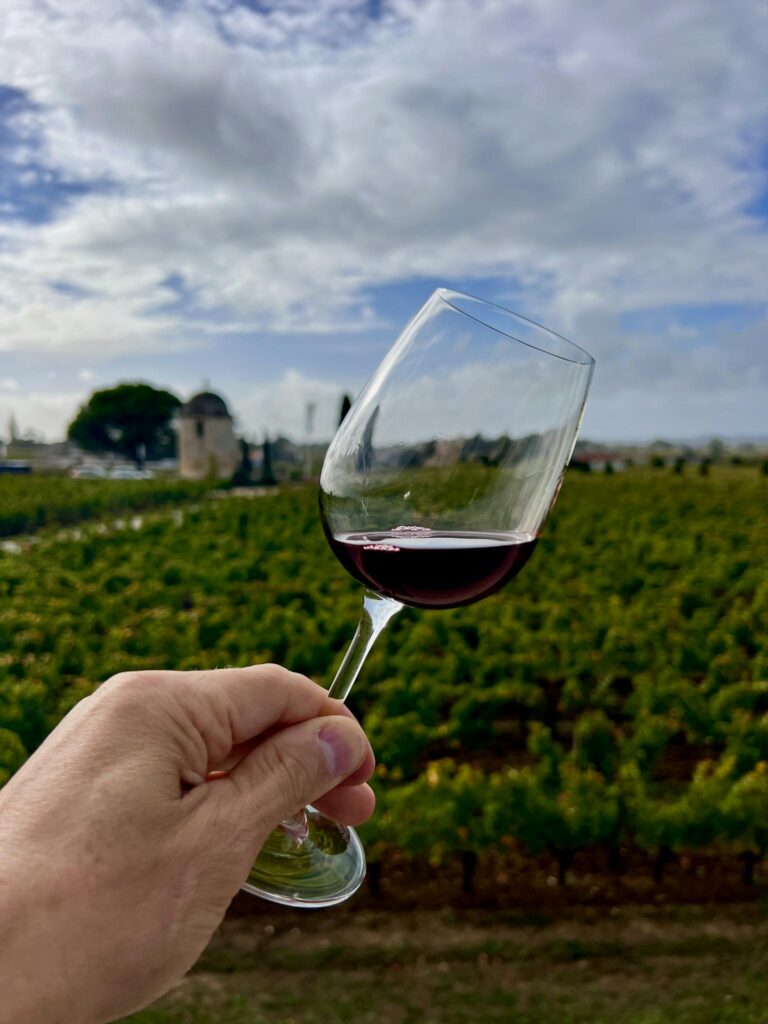A hand holding a wineglass with red wine against a vineyard backdrop under a cloudy sky.